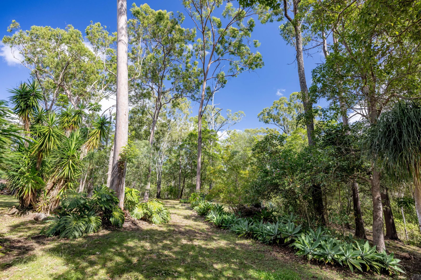 Additional image 16 of 103 Arbornine Road, Glenwood QLD 4570