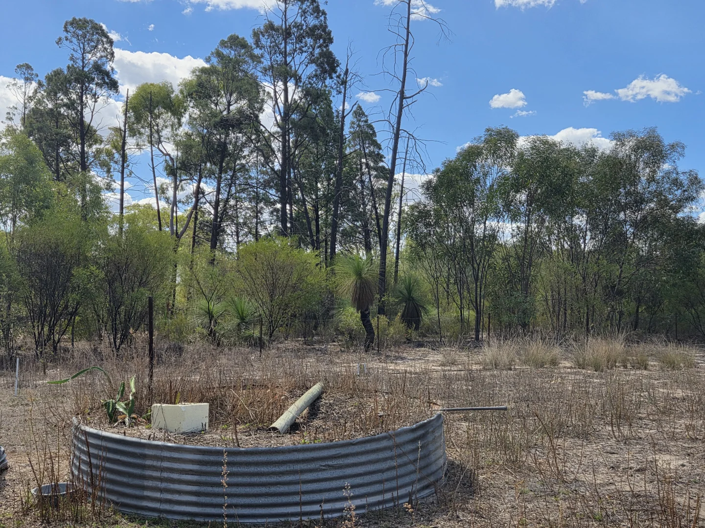 Additional image 8 of 633B Bosnjaks Road, Glenarbon QLD 4385