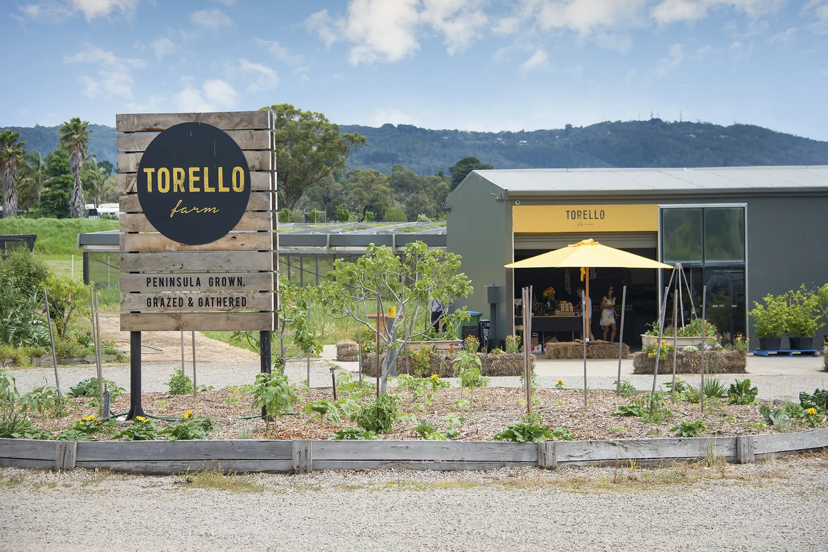 Additional image 14 of 2/74 Rainier Avenue, Dromana VIC 3936