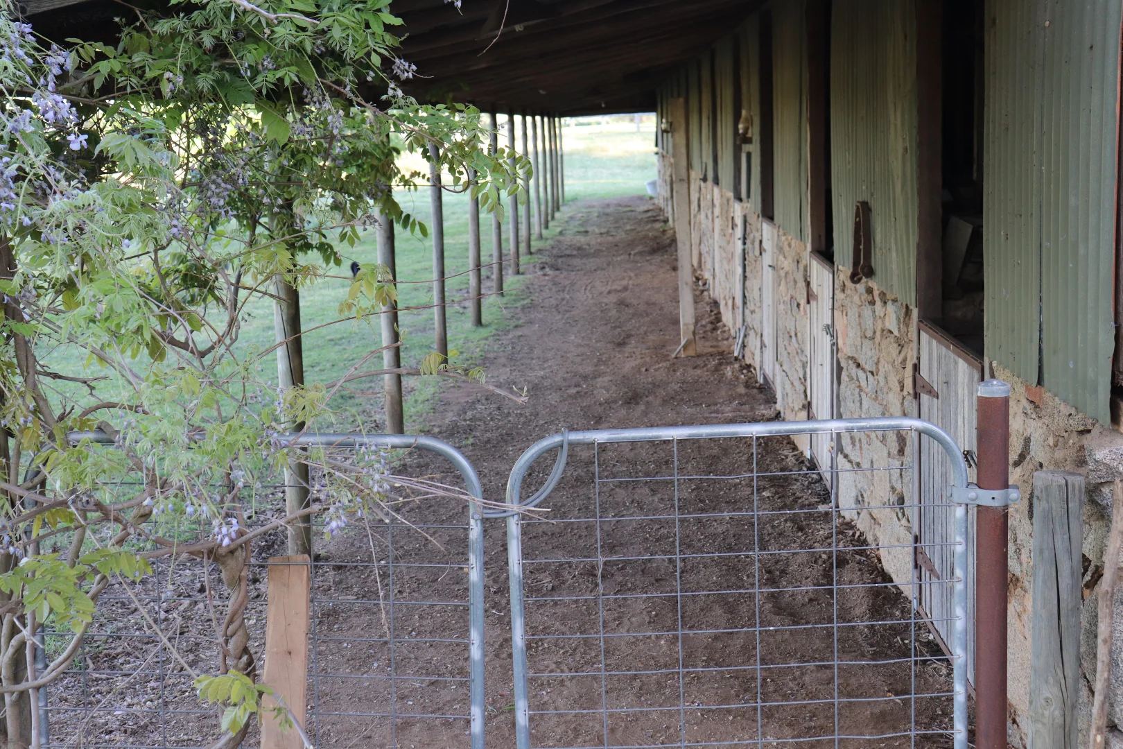 Additional image 16 of 510 Kingsvale Road, Young NSW 2594