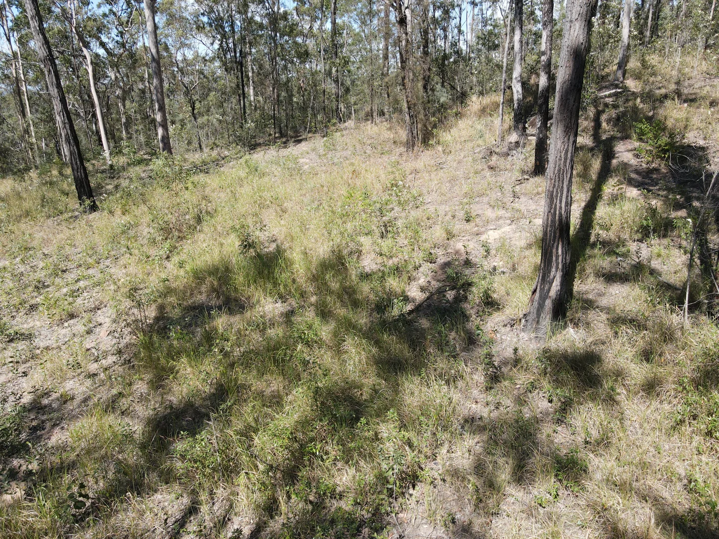 Additional image 16 of 428 Bruxner Road, Drake NSW 2469