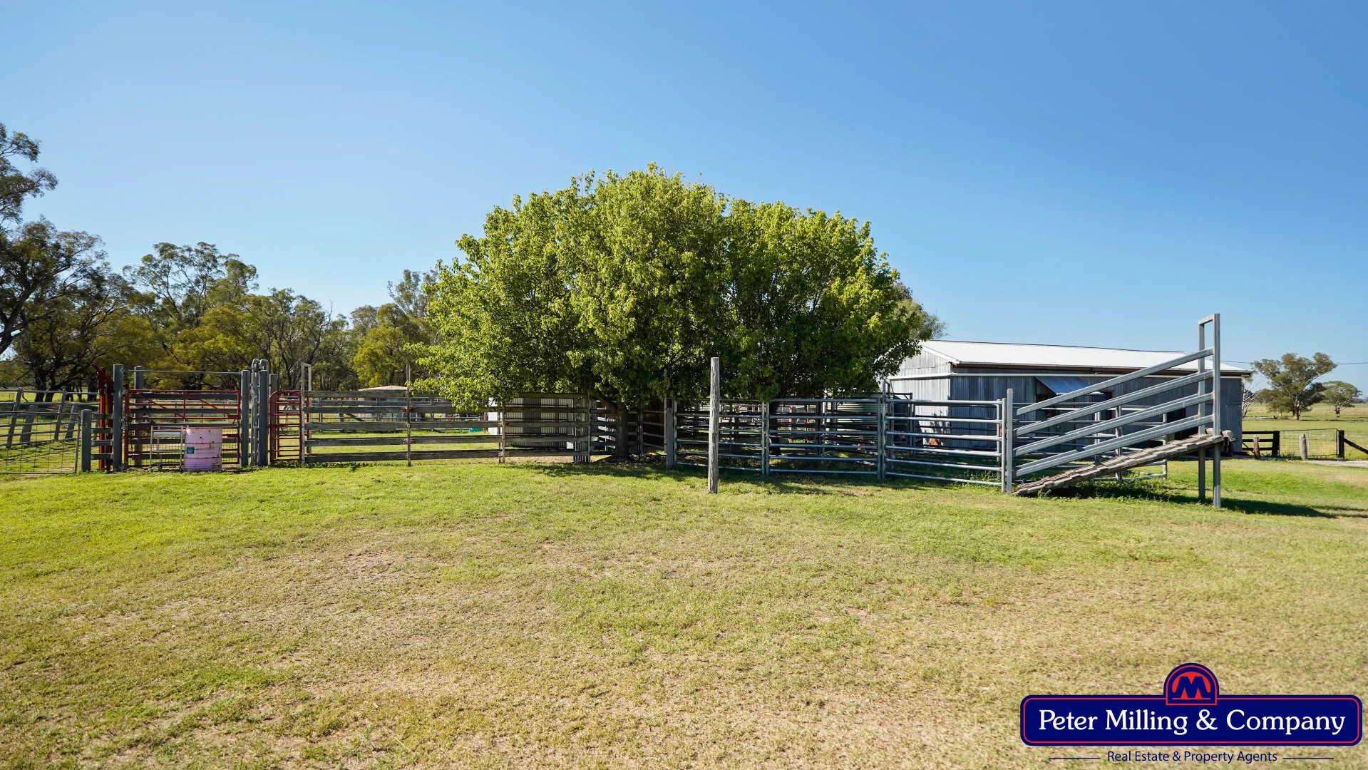 Additional image 5 of 59 Piambra Road, Binnaway NSW 2395
