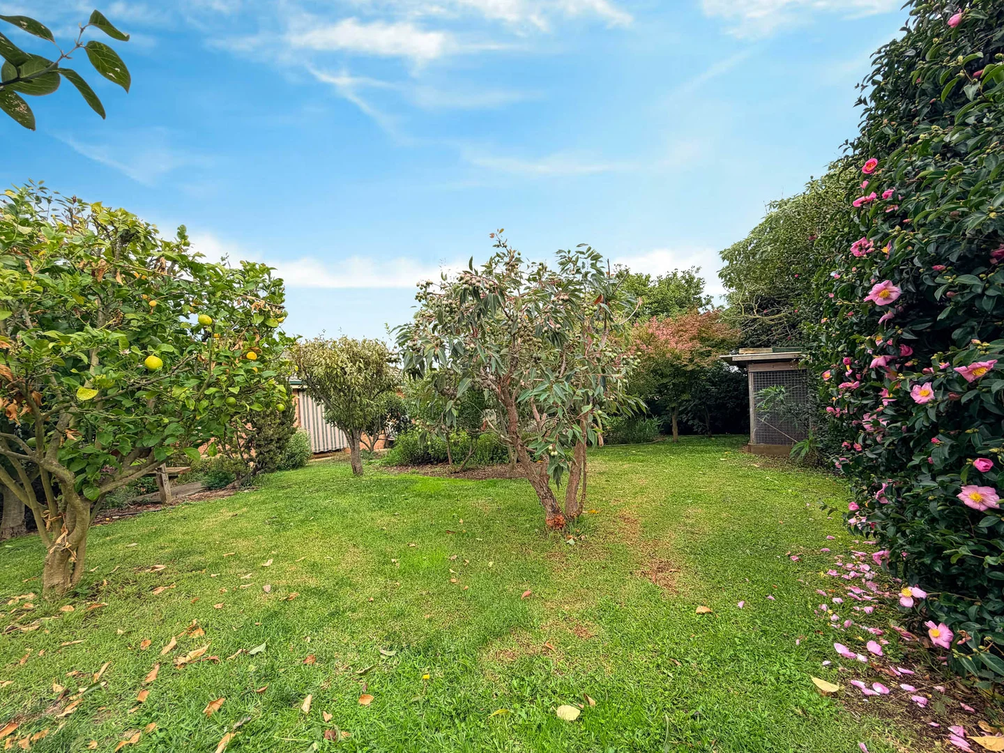Additional image 14 of 71 Stoddarts Road, Warragul VIC 3820