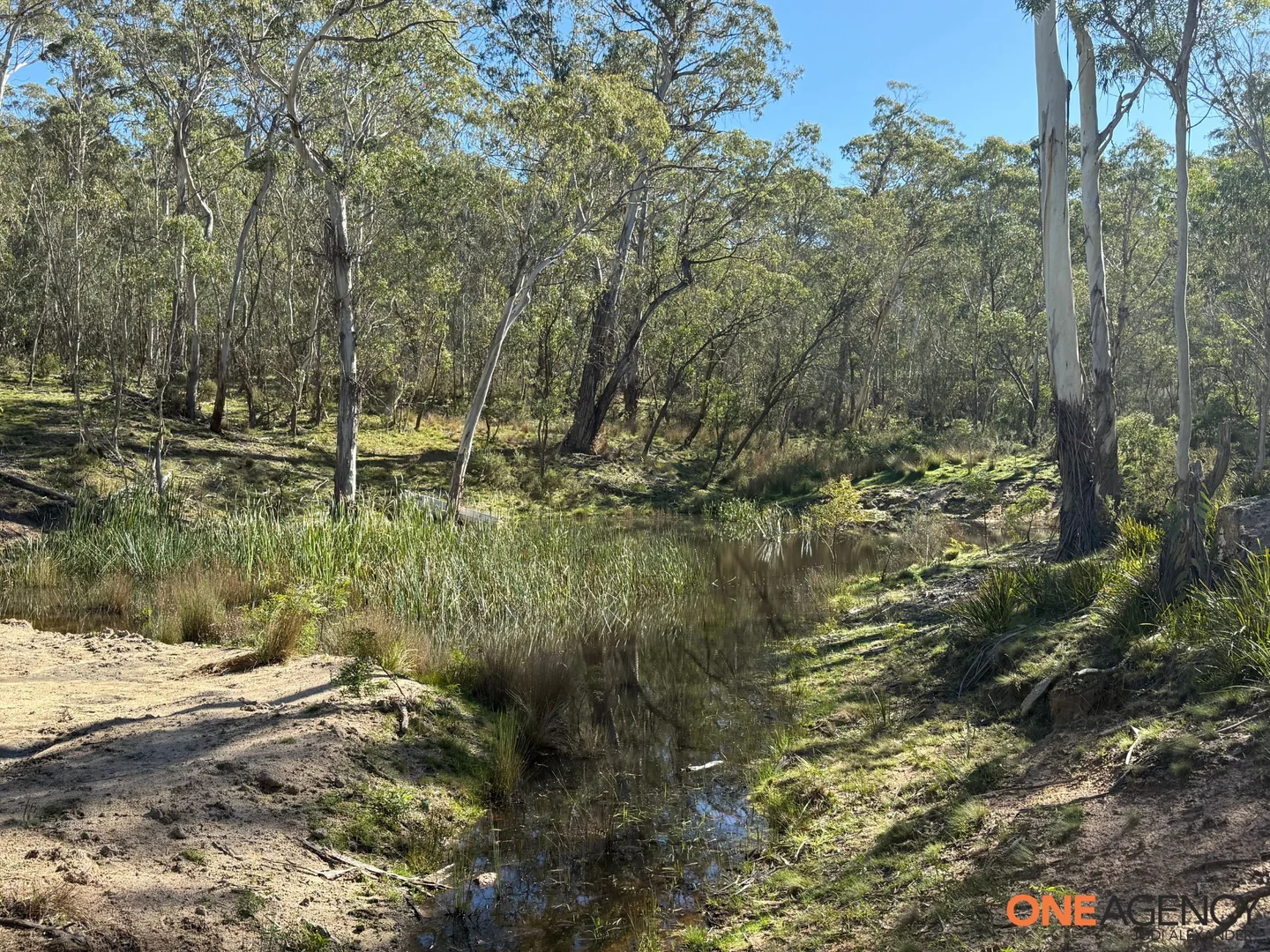 Additional image 17 of 401 Glen Allen Road, Glen Allen NSW 2631