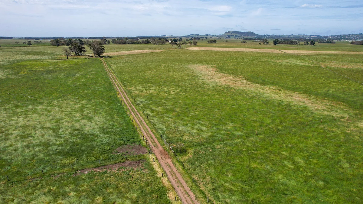 Additional image 27 of 'Avon Park Farm' 310 Chocolyn Road, Camperdown VIC 3260