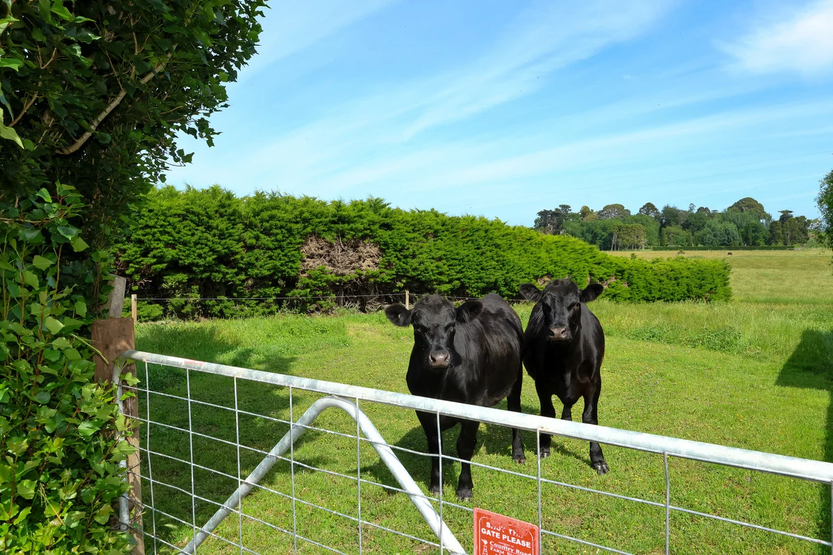 Additional image 4 of 'Avon Park Farm' 310 Chocolyn Road, Camperdown VIC 3260