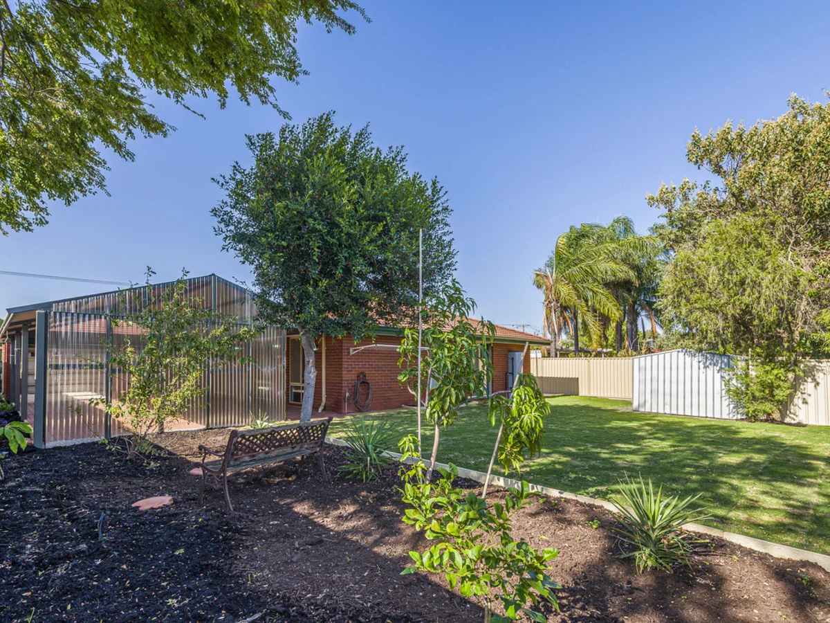 Additional image 16 of 31 Hickson Avenue, Armadale WA 6112