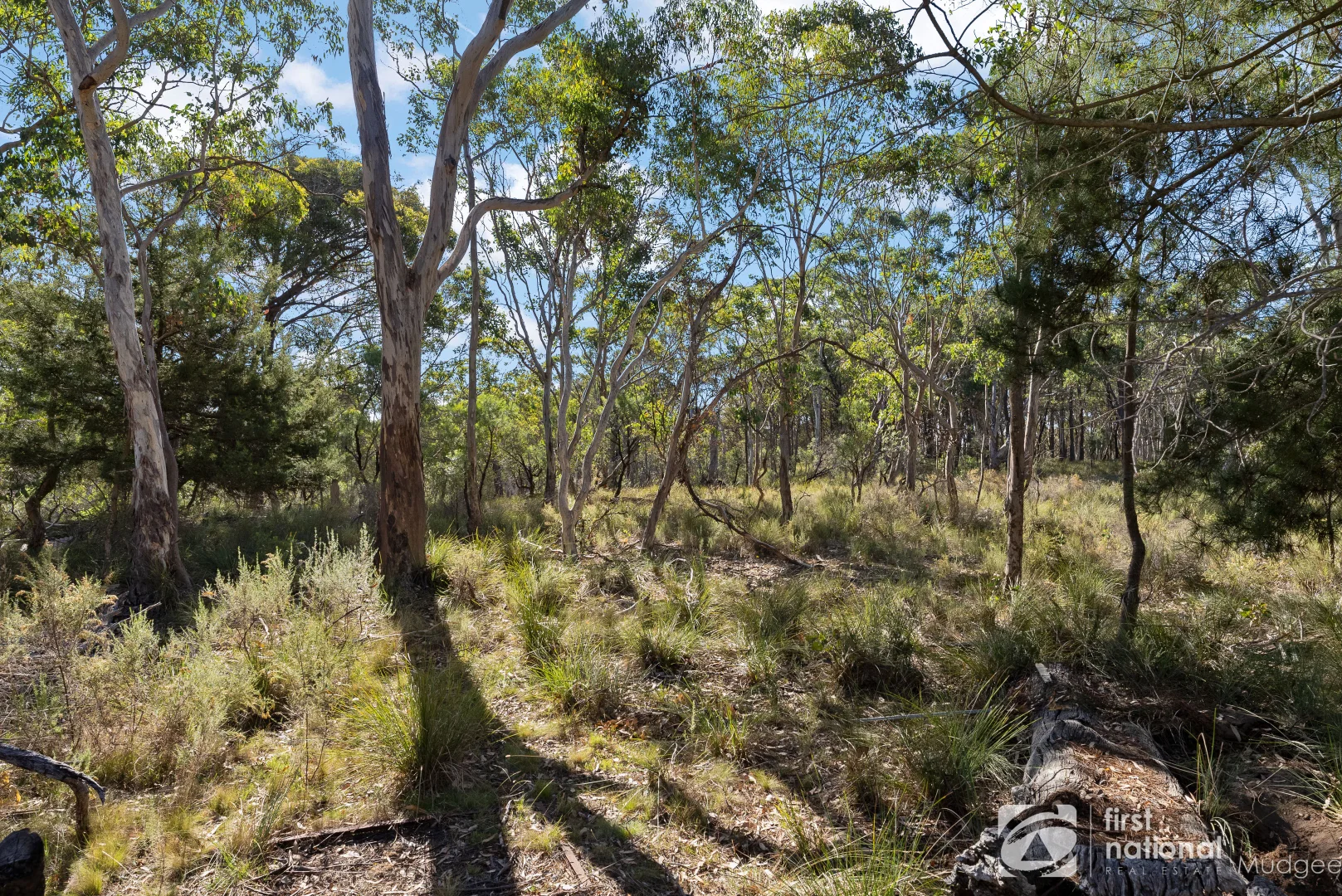 Additional image 3 of 114 Nangawooka Road, Mudgee NSW 2850