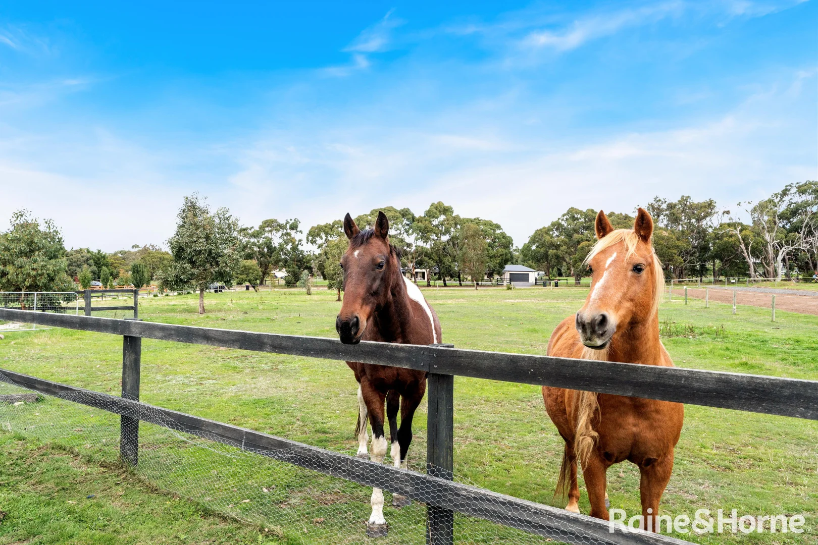 Additional image 30 of 128 Bolithos Road, Riddells Creek VIC 3431