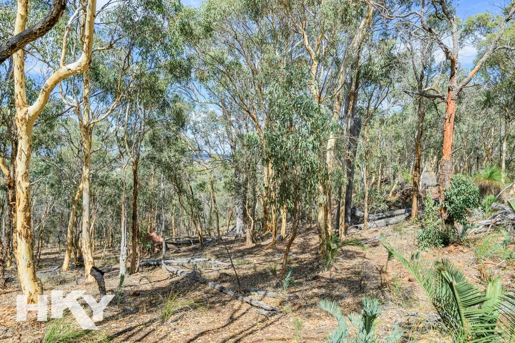 Additional image 27 of 252 CREST HILL ROAD, Mooliabeenee WA 6504