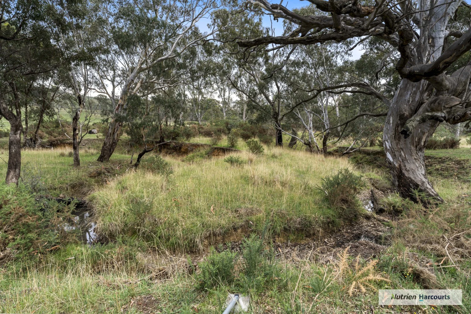 Additional image 14 of 580 The Bridle Track, Glenaroua VIC 3764