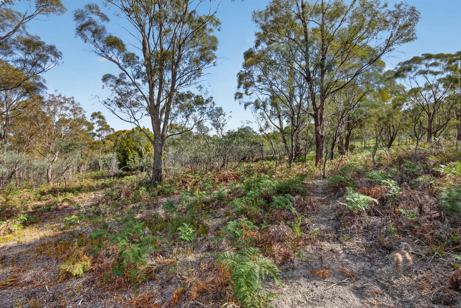 Additional image 7 of 183 Josephs Road, Carlton TAS 7173