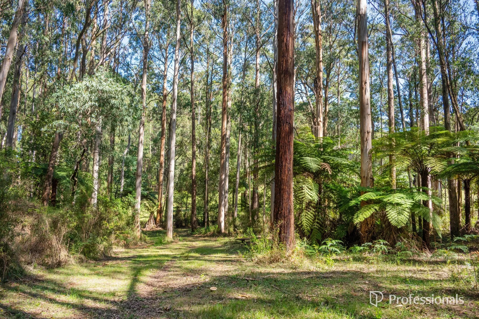 Additional image 23 of 620 Thonemans Road, Hoddles Creek VIC 3139