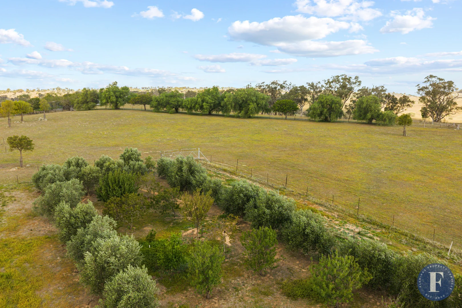 Additional image 19 of 438 Ironbark Lane, Boorowa NSW 2586