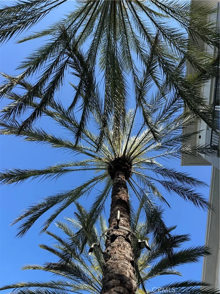Additional image 91 of 1801 E Katella Ave, Anaheim, CA 92805
