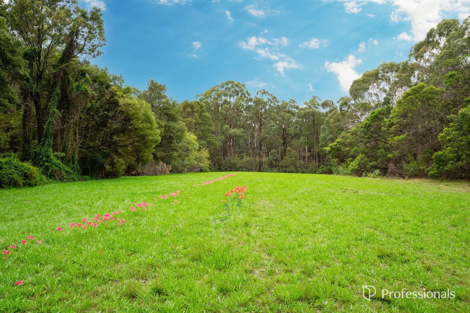 Additional image 12 of 160 Worlley Road, Hoddles Creek VIC 3139