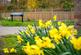 Additional image 18 of Lovelace Close, Effingham Junction, Leatherhead, Surrey, KT24