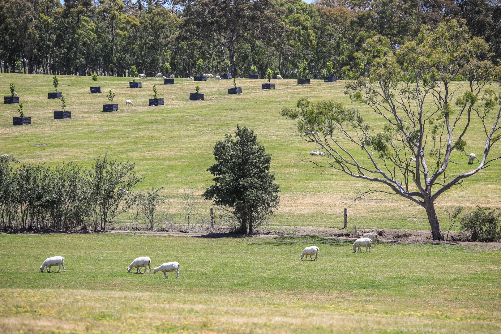 Additional image 3 of 764 (Lot 105) Flaxley Road, Flaxley SA 5153