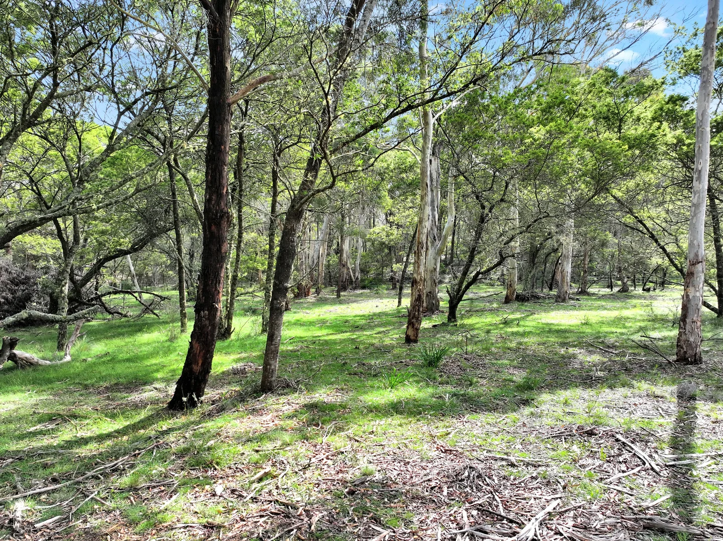 Additional image 11 of 12 Half Moon Road, Braidwood NSW 2622