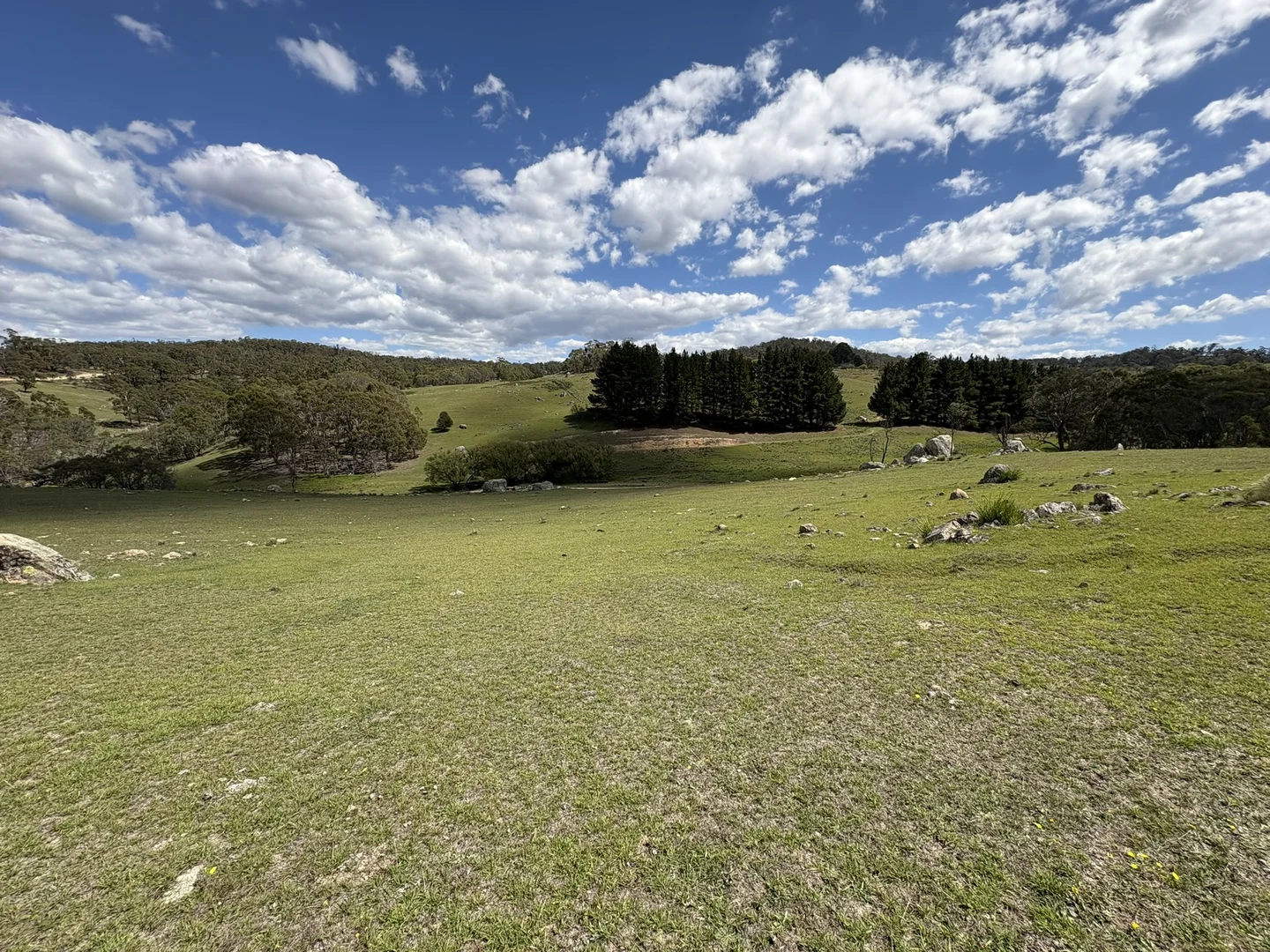 Additional image 11 of 29, 175 Tumbledown Road, Peak View NSW 2630
