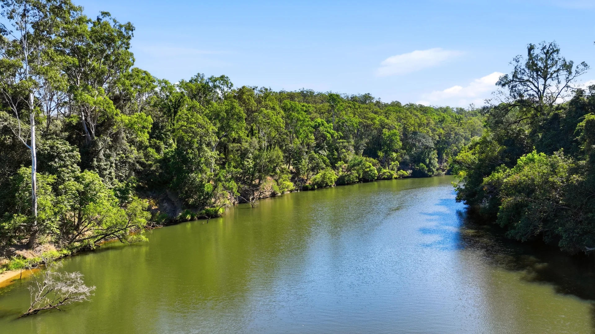 Additional image 6 of 449 Meyers Road, Ramornie NSW 2460