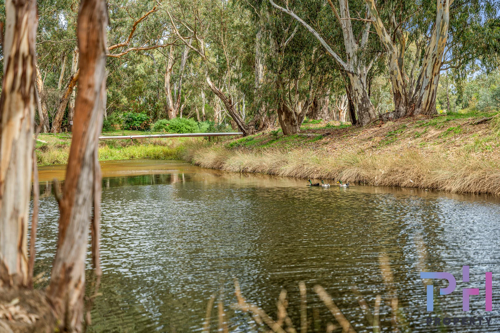 Additional image 6 of 11 Weeks Road, Ascot VIC 3551