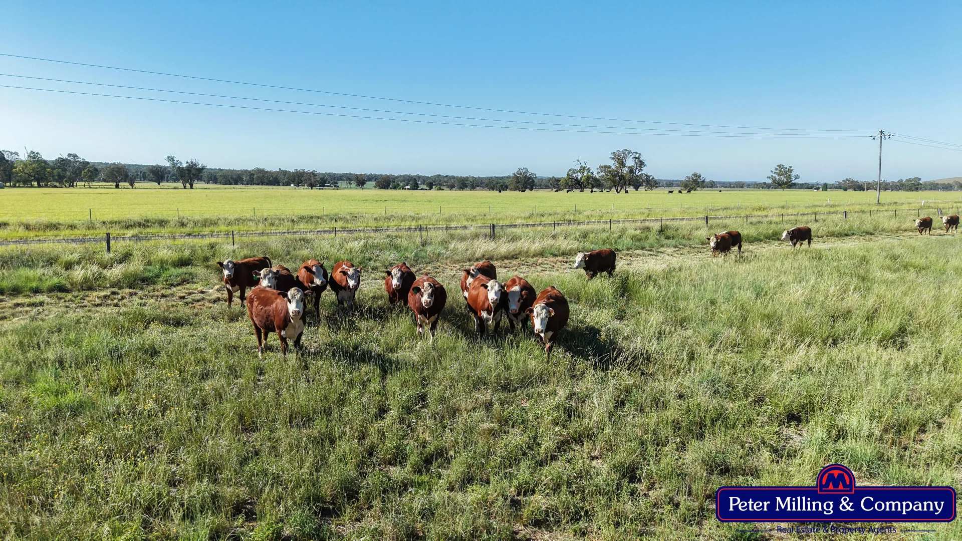 Additional image 17 of 59 Piambra Road, Binnaway NSW 2395