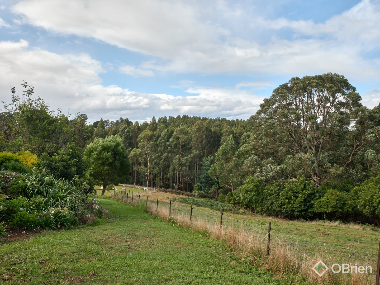 Additional image 13 of 135 Mason Road, Jindivick VIC 3818