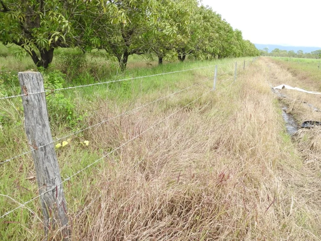 Additional image 36 of Giru QLD 4809