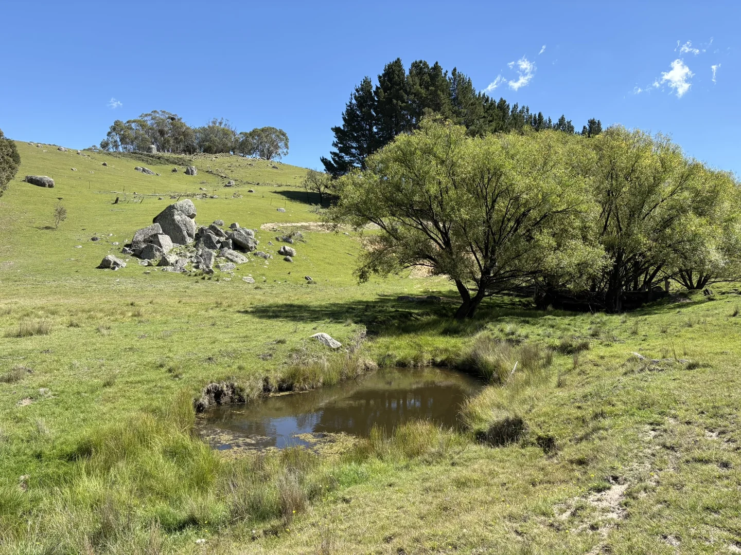 Additional image 6 of 29, 175 Tumbledown Road, Peak View NSW 2630