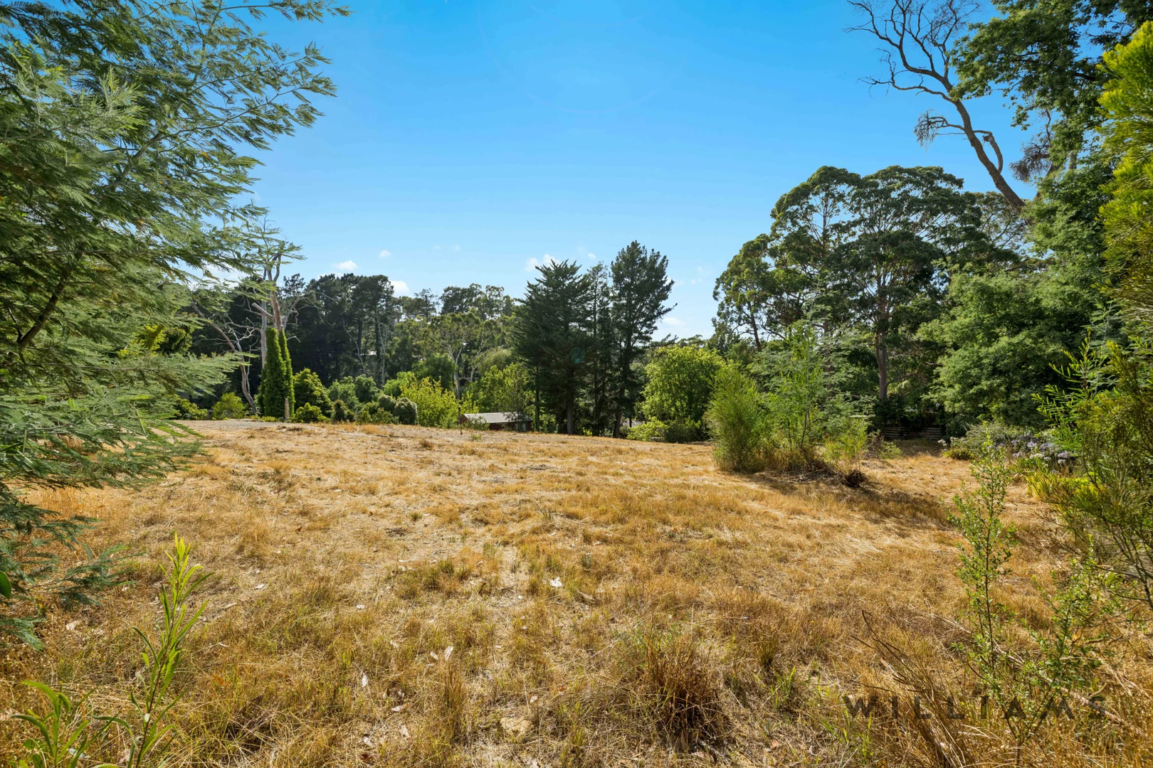 53 Mabel Street, Stirling SA 5152 photo 4
