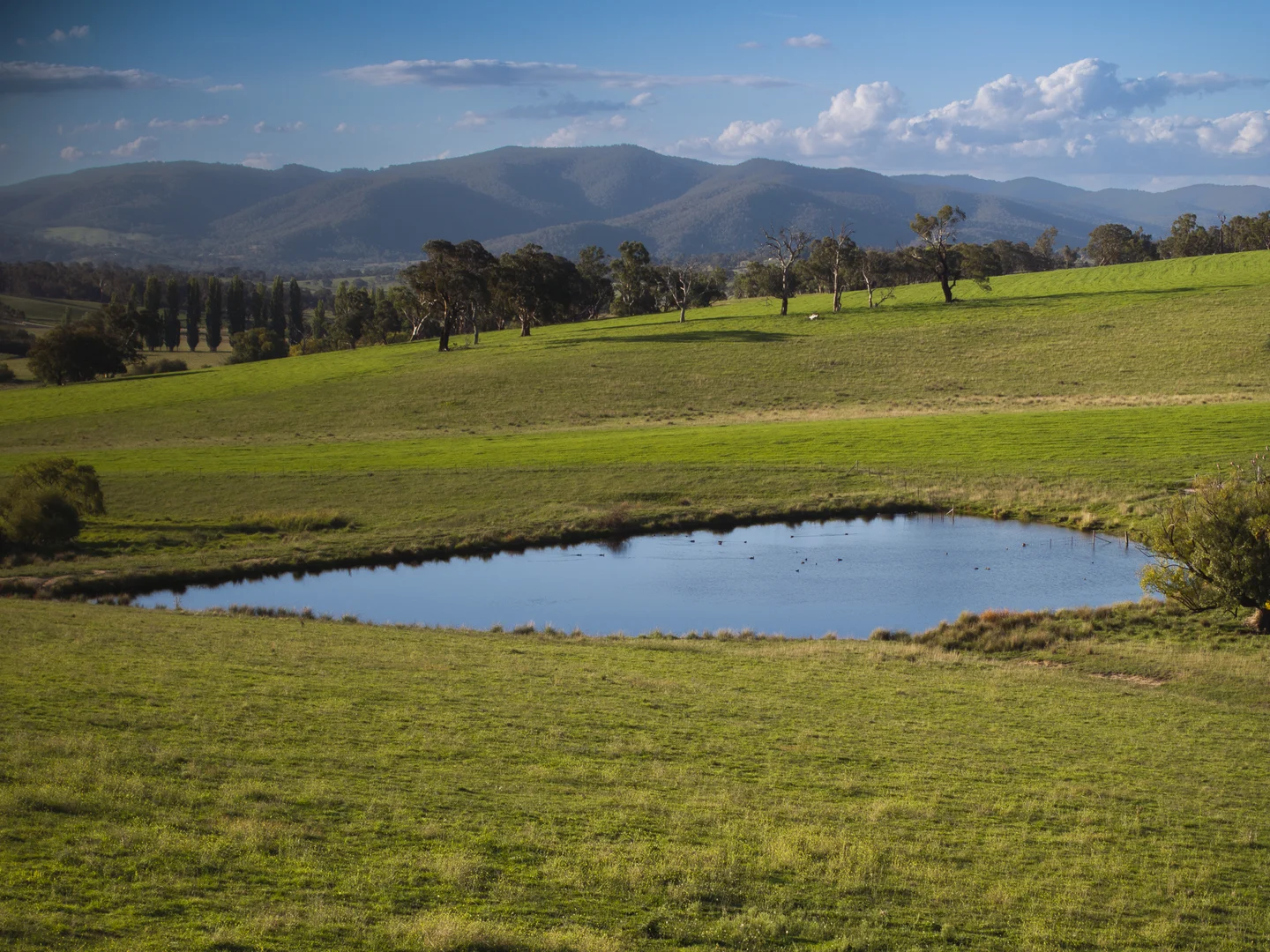 Tarana NSW 2787 photo 4
