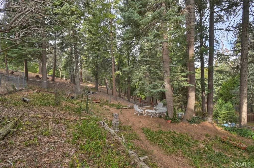 Additional image 42 of 696 Rose Lane, Twin Peaks, CA 92391