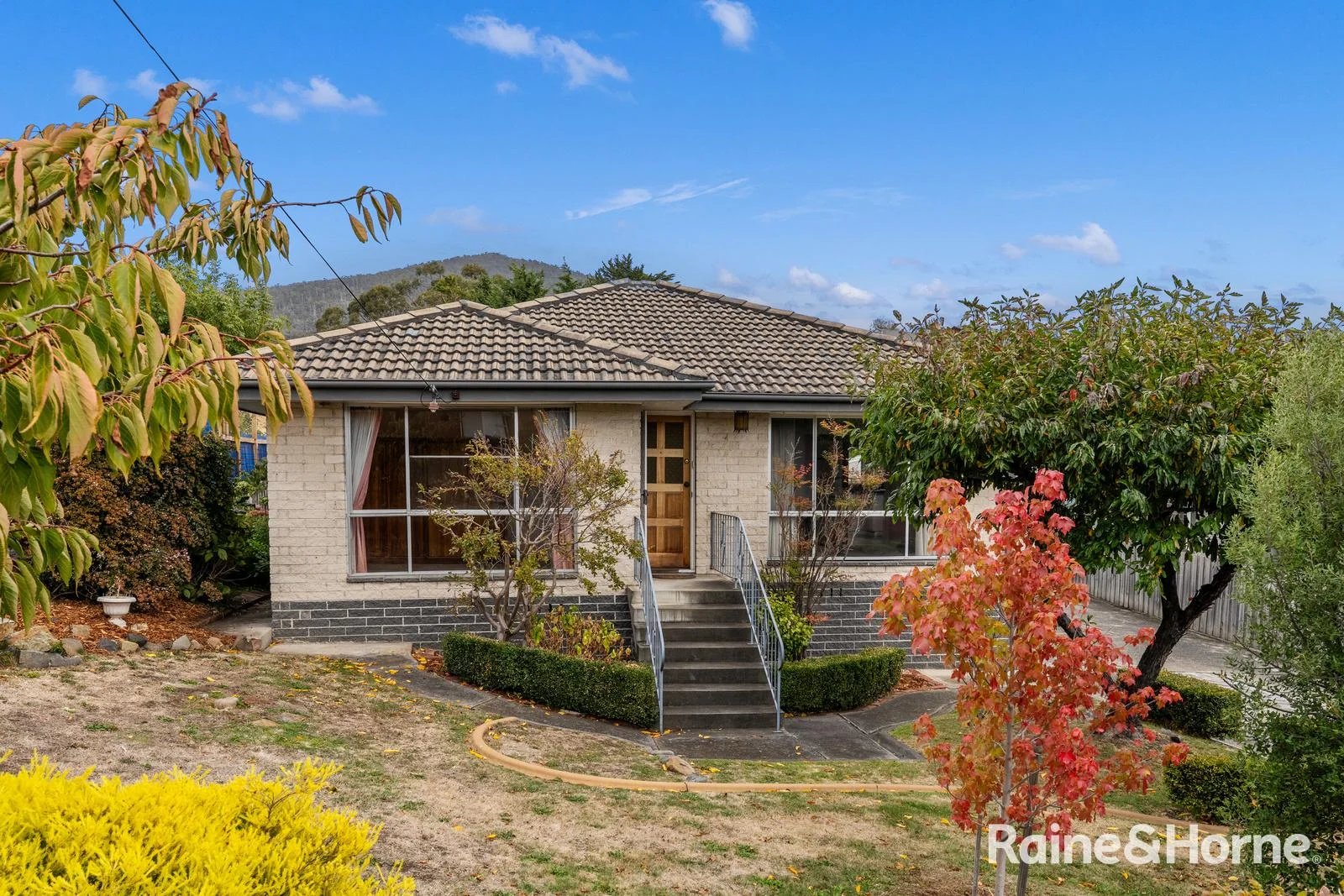 7 Mitchell Avenue, Rosetta TAS 7010