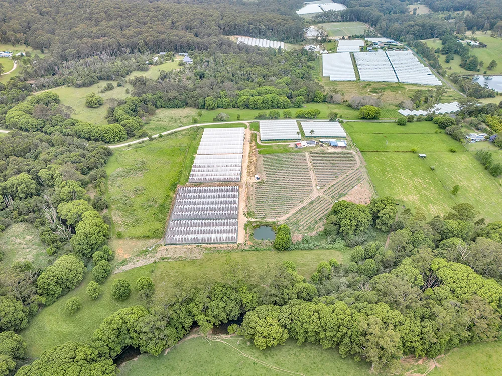 Additional image 4 of 289 Mardells Road, Bucca NSW 2450
