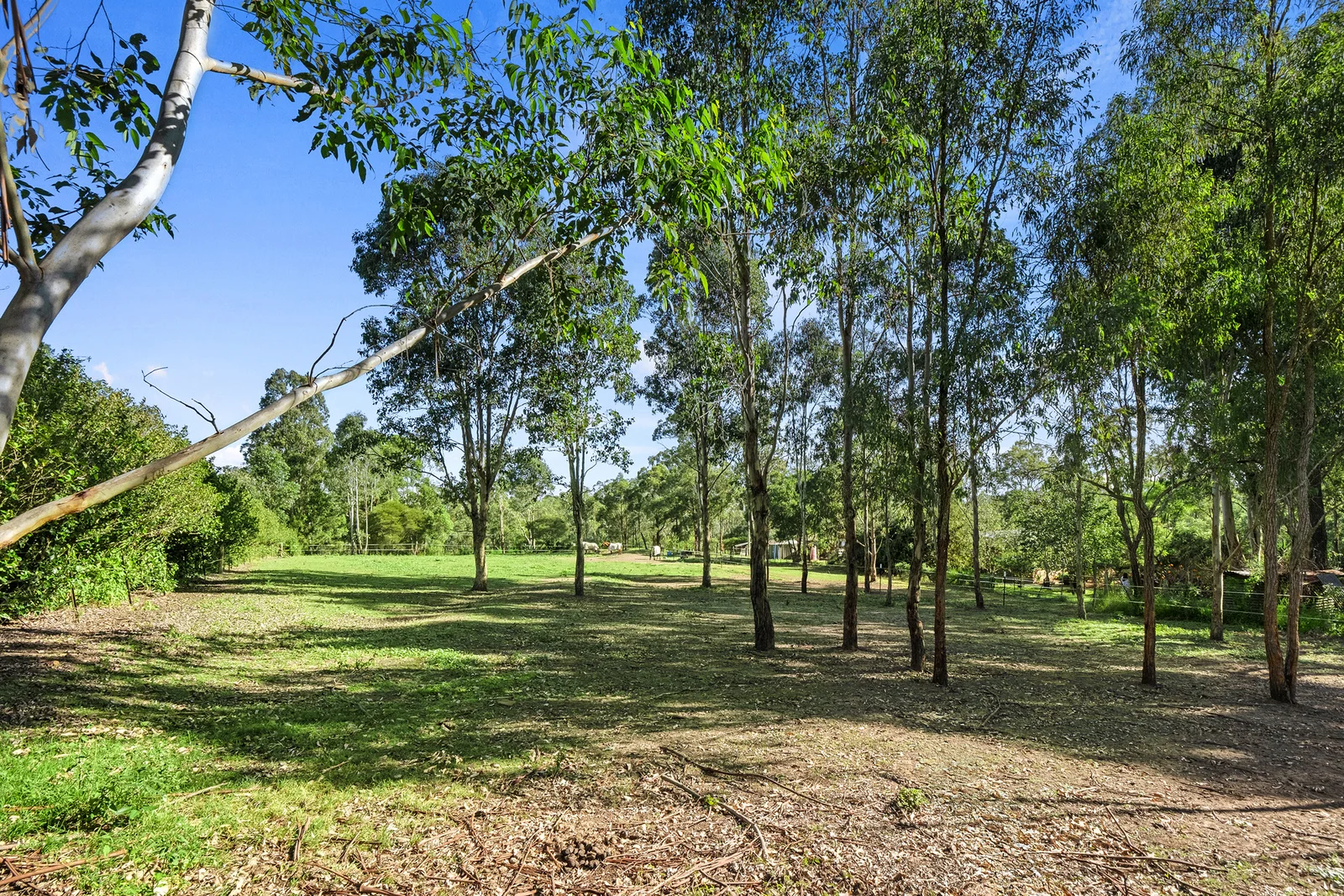 Additional image 19 of 37 Mitchell Park Road, Cattai NSW 2756