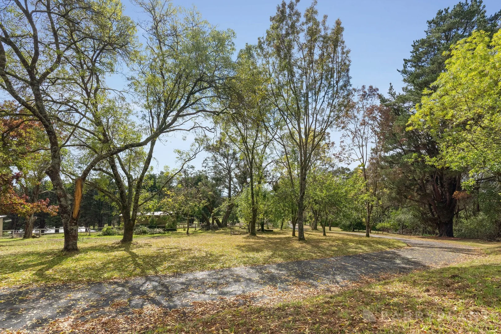 Additional image 19 of 191 Spillers Road, Macclesfield VIC 3782