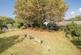Additional image 13 of Sticklepath Court, Tawstock, Barnstaple