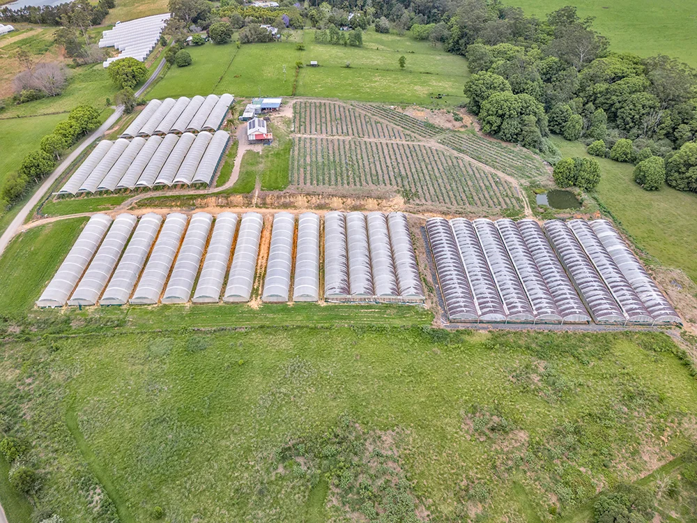 Additional image 3 of 289 Mardells Road, Bucca NSW 2450