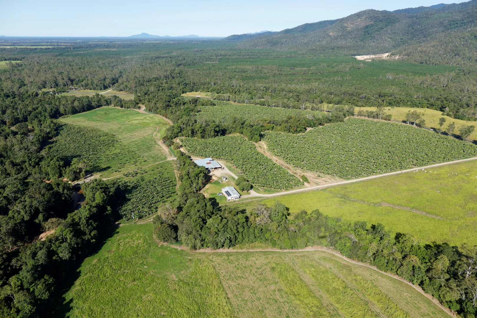 Additional image 5 of 164 Middle Murray Road, Murray Upper QLD 4854
