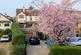Belswains Lane, Hemel Hempstead, HP3 photo 4