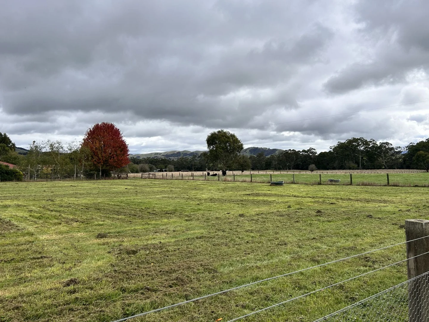Additional image 11 of 53 Burns Road, Glenburn VIC 3717