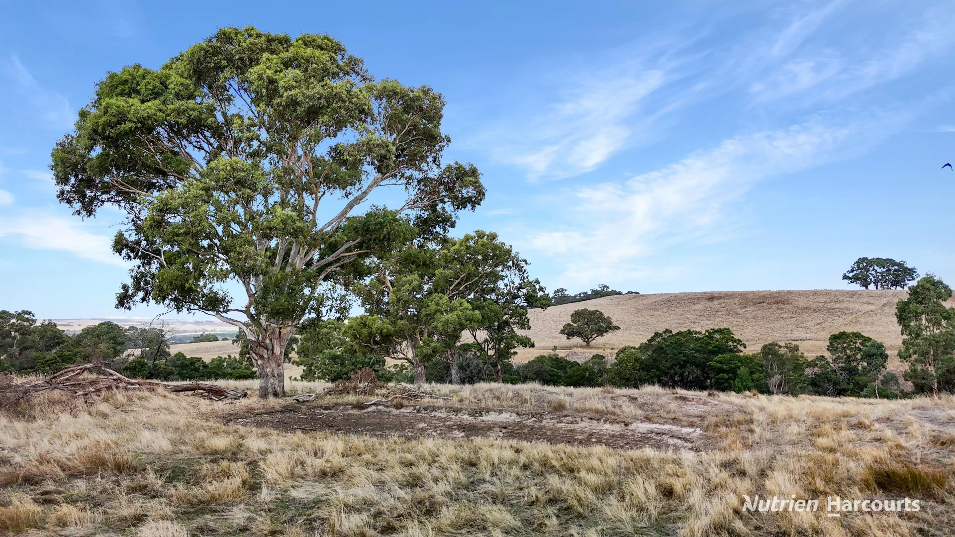 Additional image 5 of Lot 1 Old Mt Gambier Road, Casterton VIC 3311