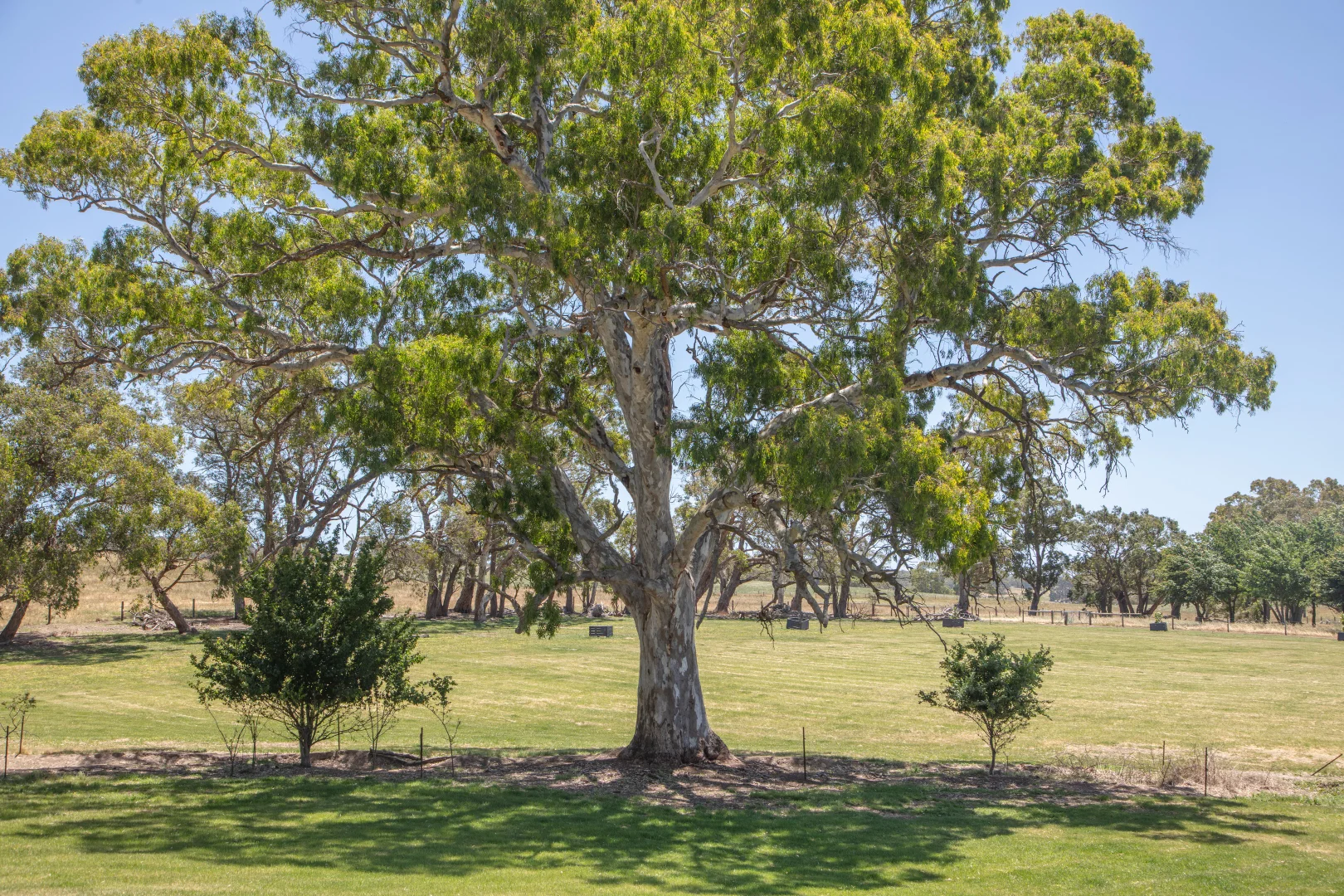 Additional image 12 of 764 (Sec 2989) Flaxley Road, Flaxley SA 5153