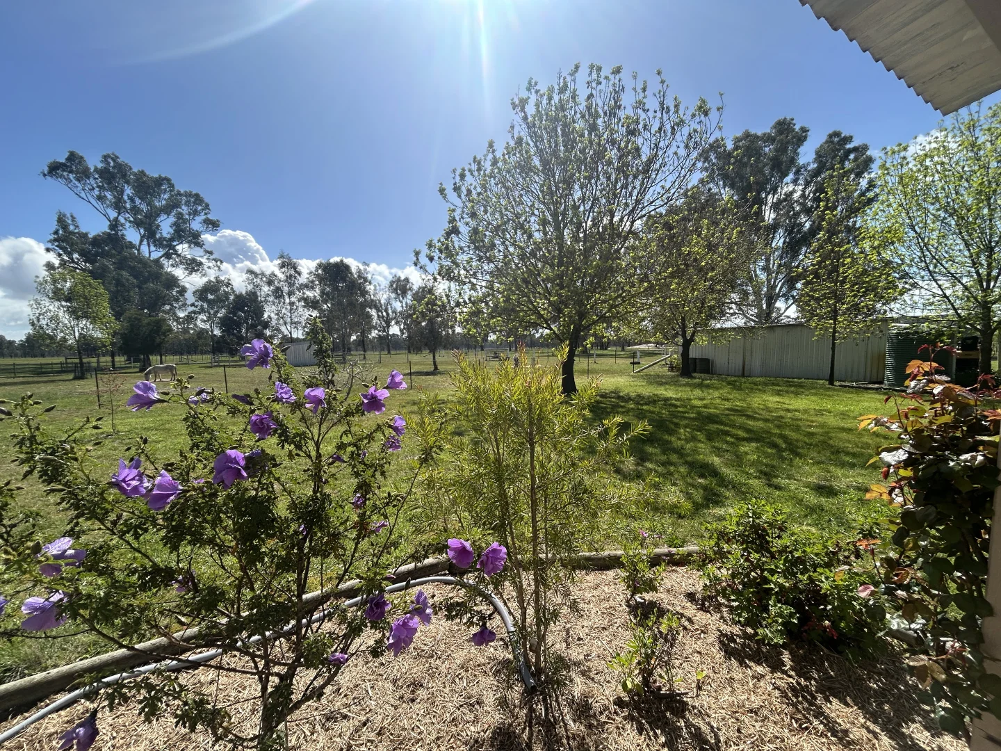Additional image 23 of 282 Steel Road, Benalla VIC 3672