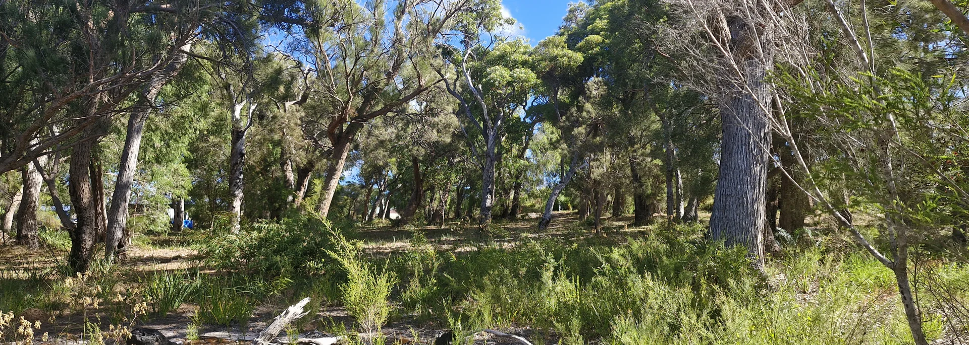 Additional image 6 of 14 Burton Close, Walpole WA 6398