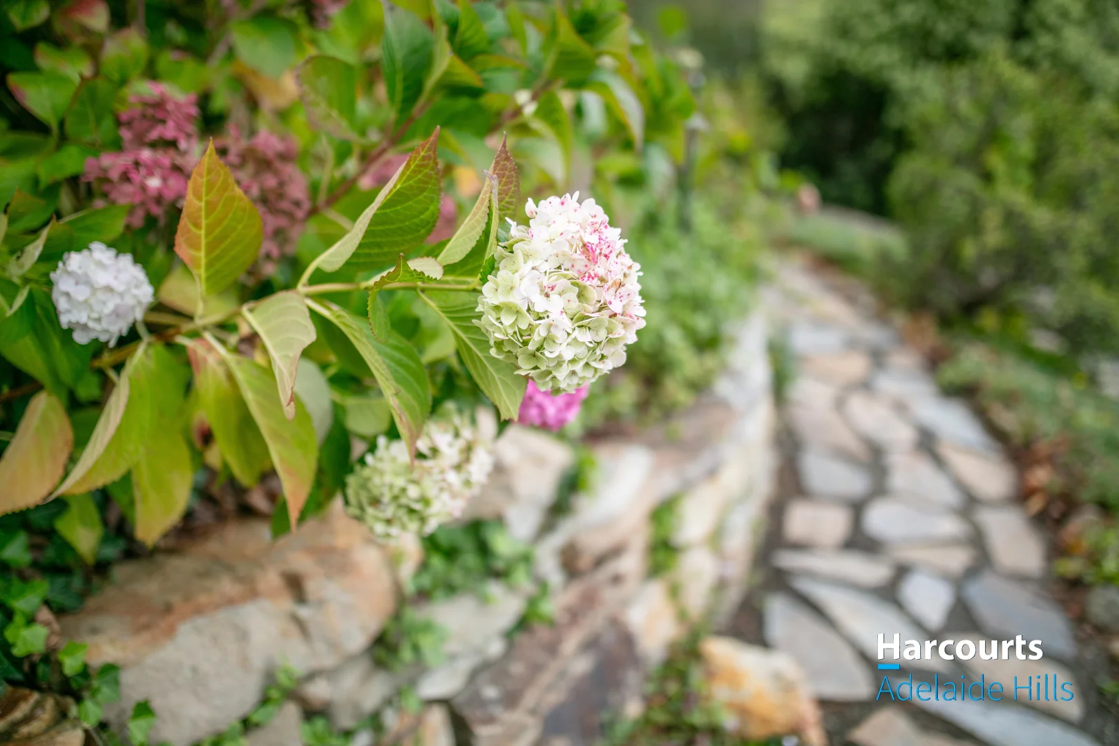 Additional image 52 of 76 Wilpena Terrace, Aldgate SA 5154