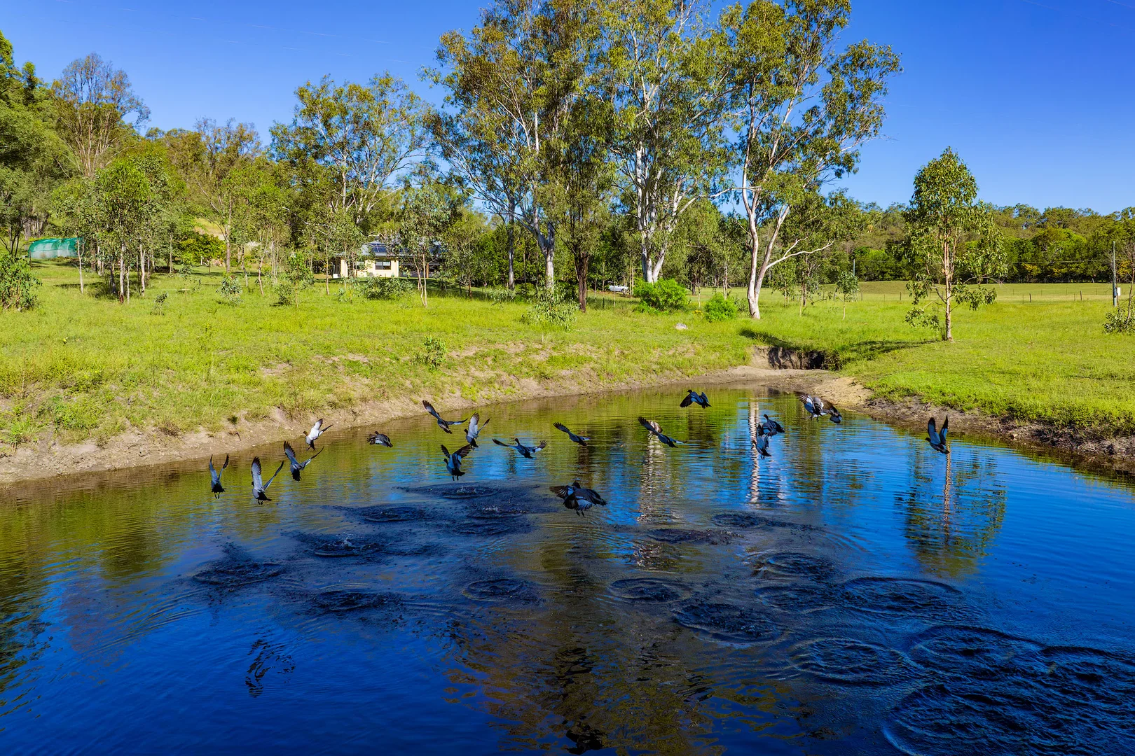 Additional image 21 of 109 Rossmore Road, Kilkivan QLD 4600