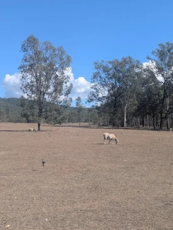 Additional image 9 of Lot 83 Wallers Road,, Ringwood QLD 4343