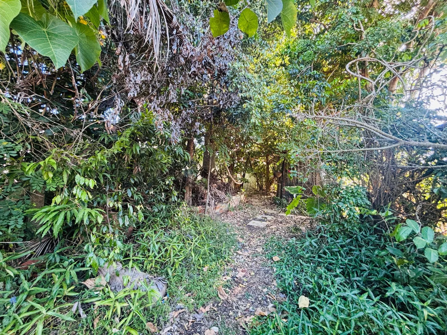 Additional image 14 of 83 Donnans Road, Lismore Heights NSW 2480
